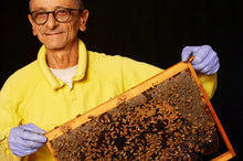 Load image into Gallery viewer, Strawberry Tree Honey – Corbezzolo