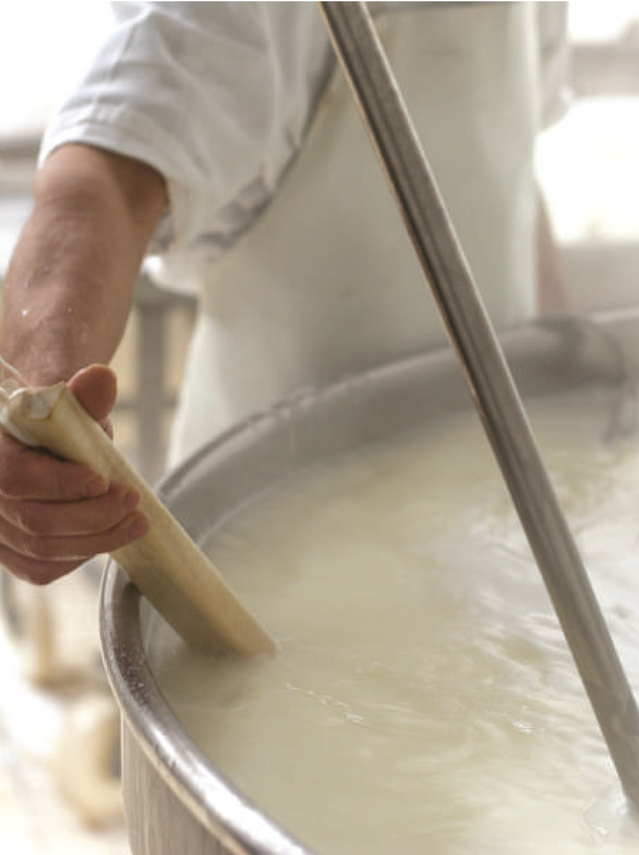 Capo Caccia | Blog | The Curious Story of Sardinian Feta